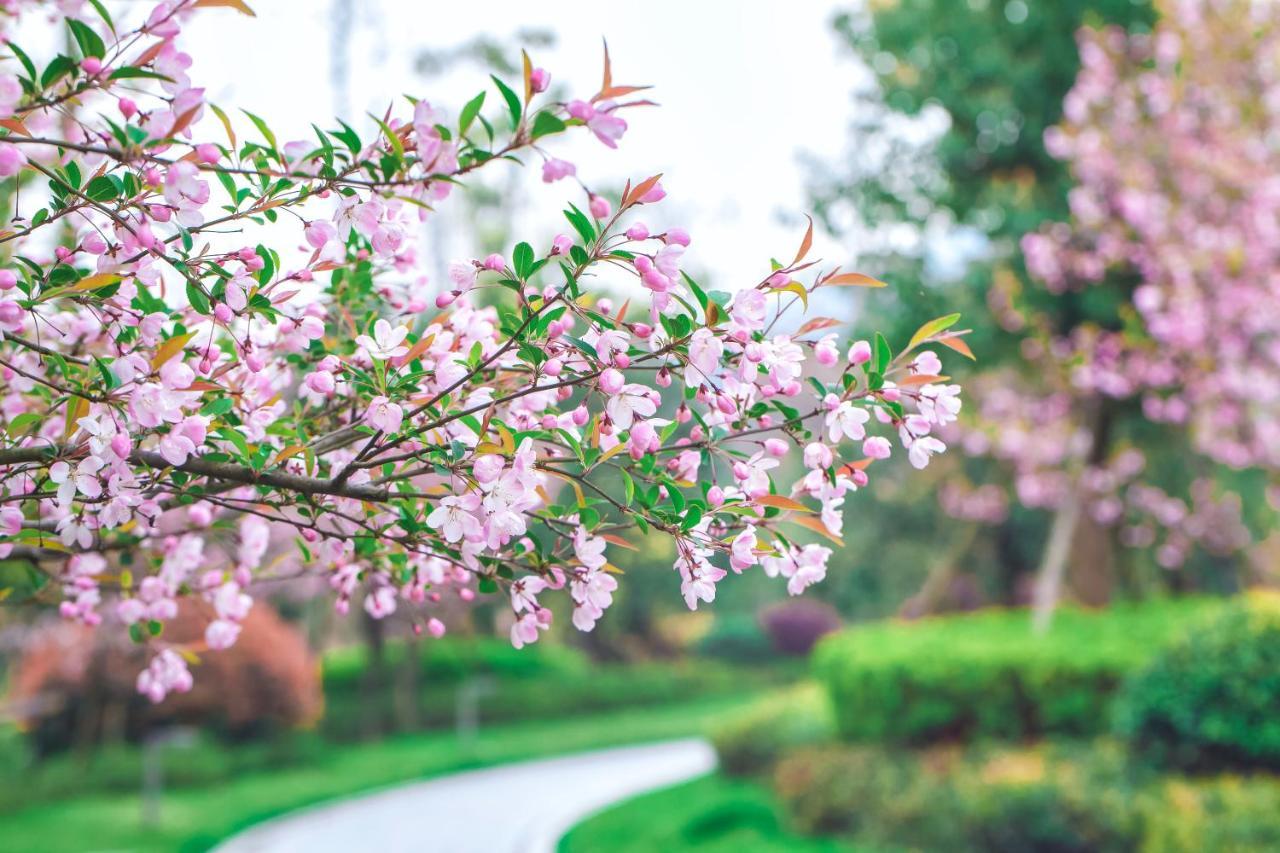 West Lake State Guest House Hangzhou Dış mekan fotoğraf